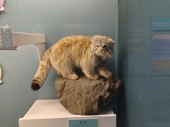 -国家自然博物馆