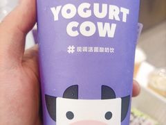 -一只酸奶牛(春熙路店)