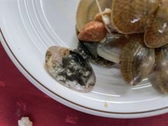 -蛇口康乐快餐鱼仔档(翠苑小区店)