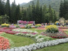 -深圳仙湖植物园