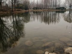 -郑州植物园