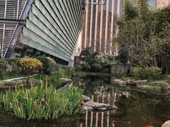 -活水公园
