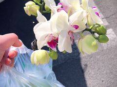 -三旗百汇商品城