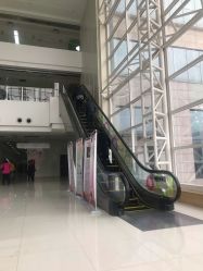 -保定市儿童医院