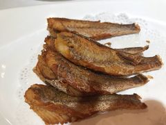 -祥记餐饮•豫粤珍味(金隅大厦店)