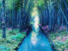 -同里国家湿地公园