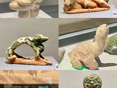 -四川大学博物馆