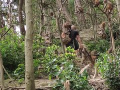 -黔灵山公园
