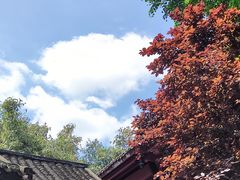-望江楼公园