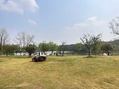 -盘龙城国家考古遗址公园