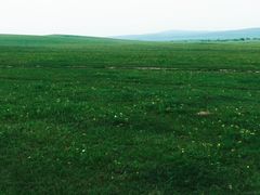 -塞罕坝国家级自然保护区