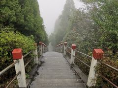 -江西阳明山国家森林公园