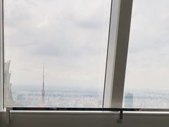 -上海柏悦酒店
