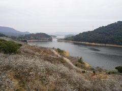 -广州市流溪河国家森林公园