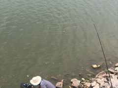 -仙湖旅游度假区