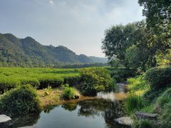 -中国茶叶博物馆(双峰馆区)