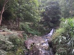 -桑洲油菜花景区