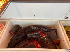 -江湖水乡铁锅炖魚(周庄嘉园店)