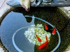 -小茶闲舍·观景商务茶馆(广州塔店)