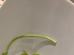 -喃喃椰·糟粕醋·椰子鸡火锅(七堡花园店)