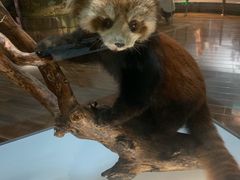 -陕西自然博物馆