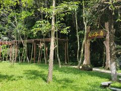 -天鹿湖森林公园