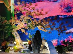 -金色年华养生会所(涵江店)