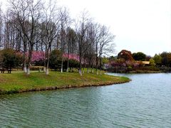 -苏州太湖国家湿地公园