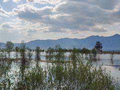 -野鸭湖国家湿地公园