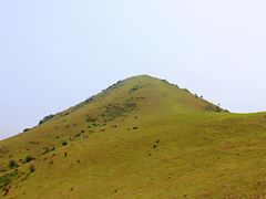 -大姆山草场