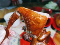 -光明刘冰乳鸽店(光明法政北路店)