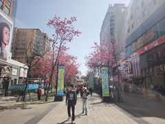 -南屏步行街