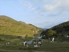 -大姆山草场