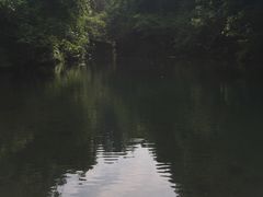 -石台牯牛降景区