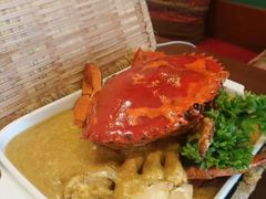 -茉莉.Red Crab