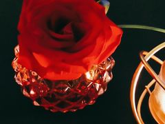 -圣丰索菲特·法国餐厅