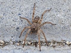 -白水寺森林公园