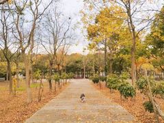 -上海海湾国家森林公园