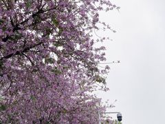 -天河体育中心