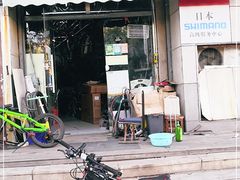 -道路口单车爱瓦士dahon大行