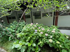 -上海醉白池公园