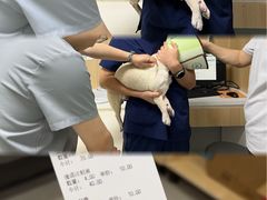 -谐和益家动物医院·免疫绝育·血液透析·宠保定点医院(高新伊藤分院)