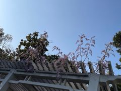 -无锡梅园公园
