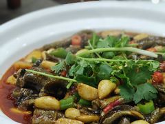 -椒香川流不息川菜馆(二七北路店)