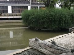 -龙潭水乡