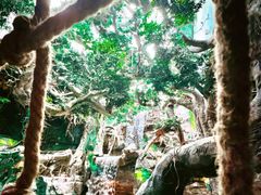 -多彩贵州城极地海洋世界