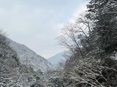 -安吉龙王山风景区