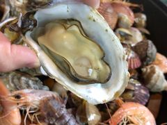 -大锅强·蒸海鲜青岛菜(吾悦广场店)