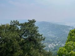 -大金鹰园