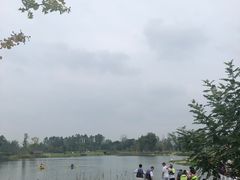 -白鹭湾湿地公园